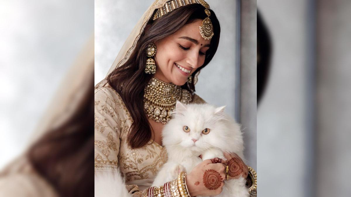 आल‍िया भट्ट-एडवर्ड 