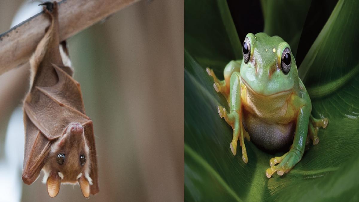 Interview Questions: