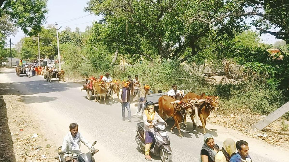 बहन के ससुराल भात भरने बैलगाड़ी से पहुंचे भाई (फोटो-आजतक)