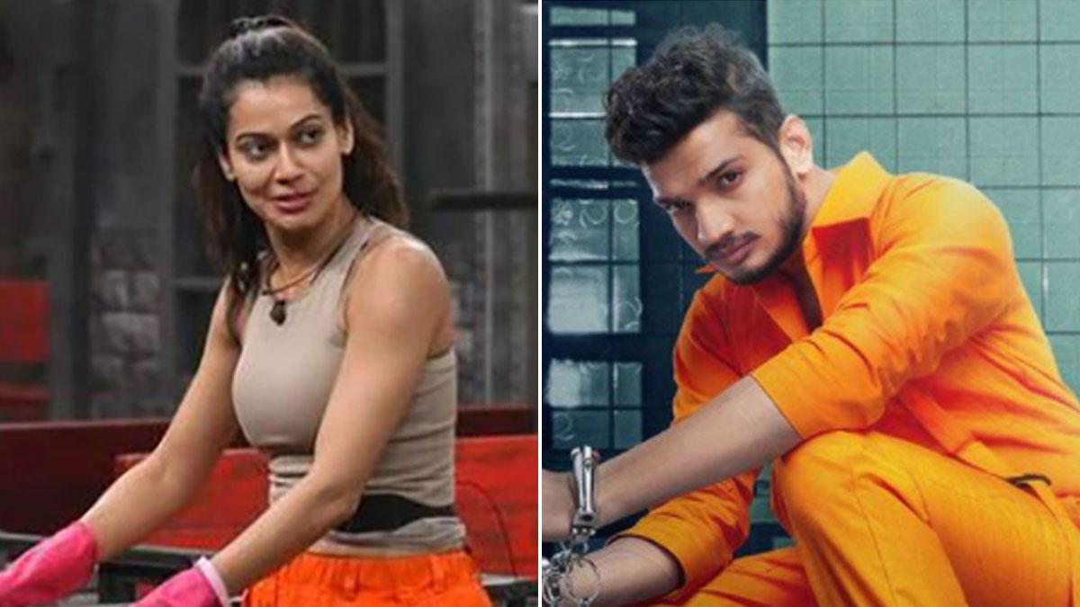 पायल रोहतगी, मुनव्वर फारूकी