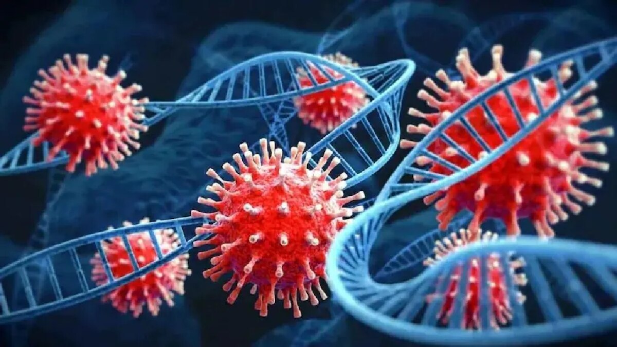 सांकेतिक तस्वीर