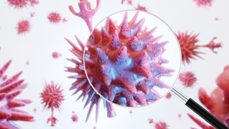 Covid Variant: Then came the new variant XE of Corona Virus, know about its symptoms in detail