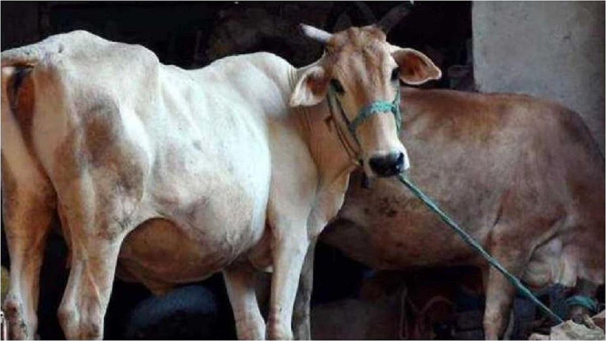 सांकेतिक तस्वीर.