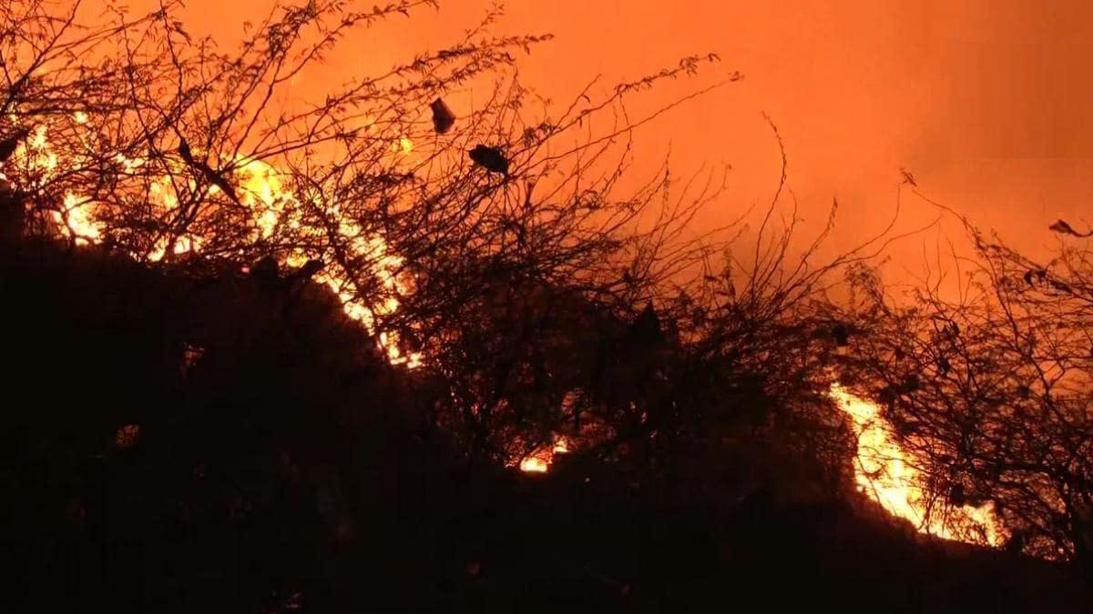 Fire Broke at Landfill Site: