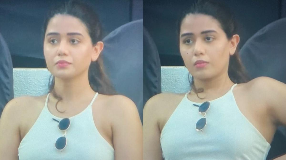 IPL Mystery Girl (Social Media)
