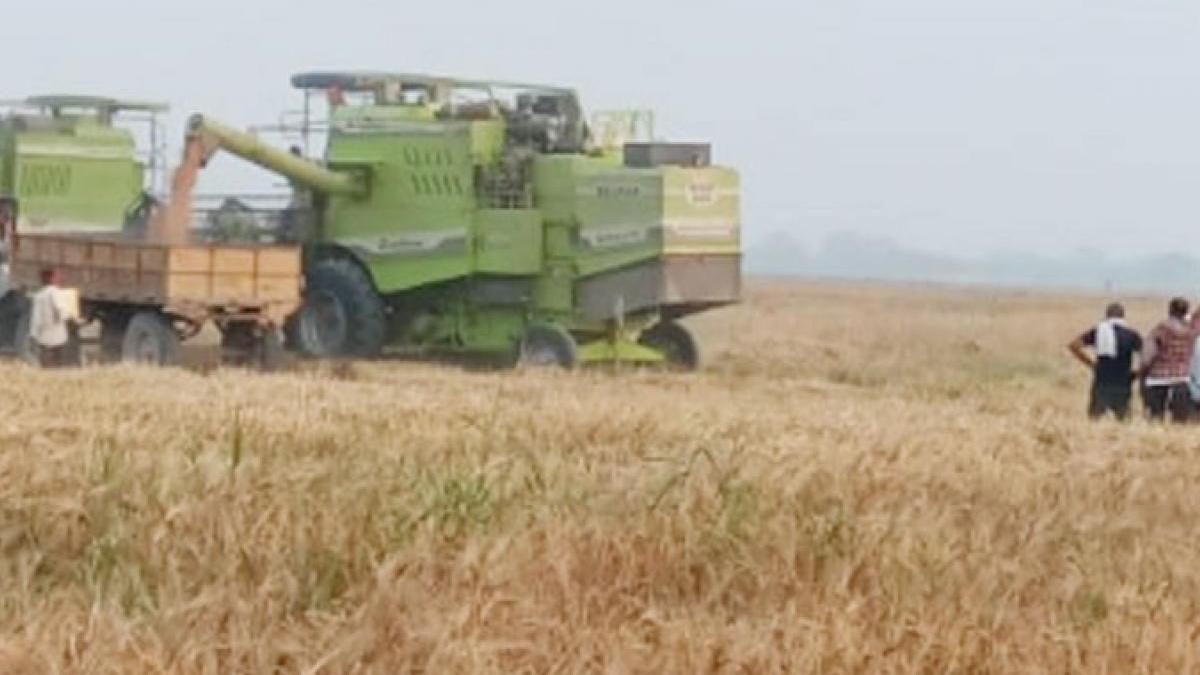 भू माफिया को संरक्षण देने के आरोप में तीन लेखपाल निलंबित (फोटो- आजतक)