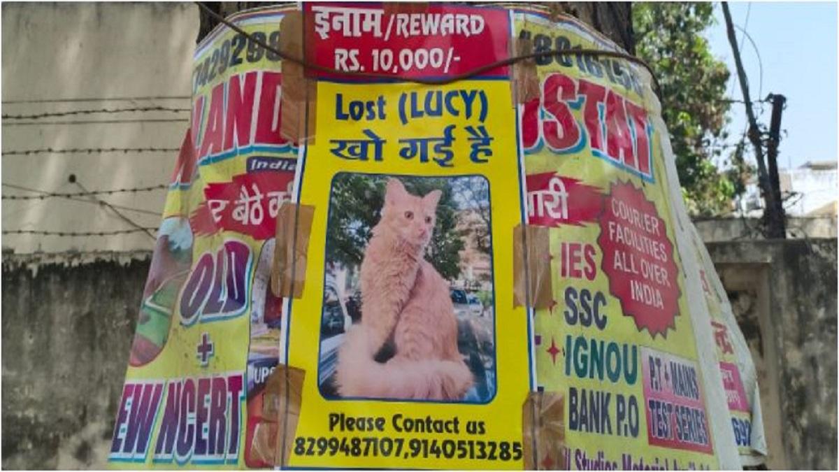 ढूंढकर लाने वाले को 10,000 रुपये का इनाम.