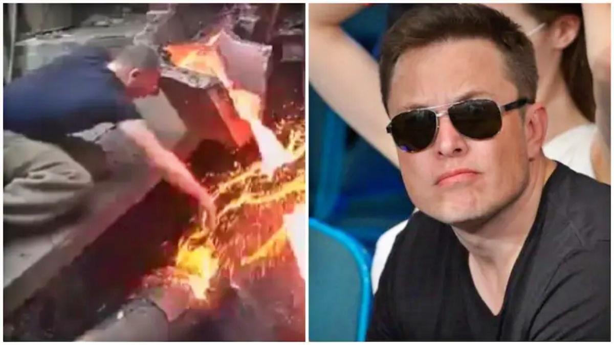 वायरल वीडियो पर एलन मस्क का रिएक्शन 