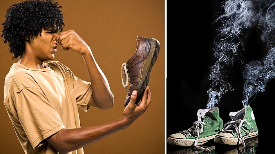 Green tea bags : फेंकने से पहले जानें, ग्रीन टी बैग्स के 7 चमत्कारी उपयोग 6 Green tea bags