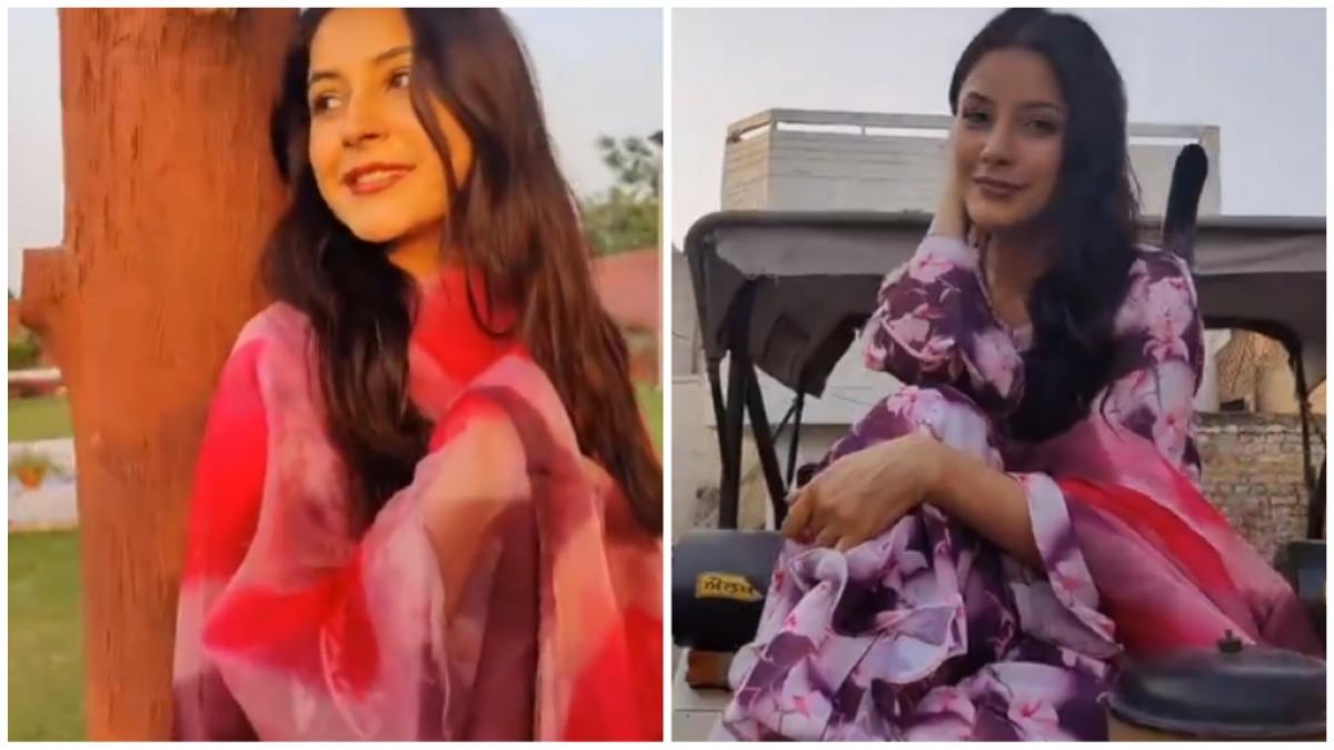 शहनाज गिल