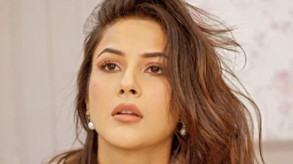 शहनाज गिल