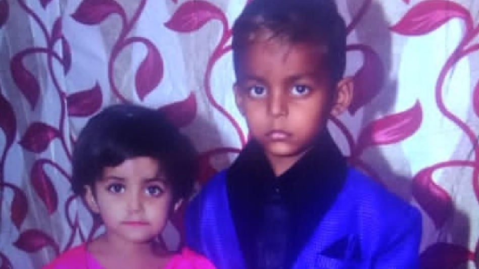 कुत्तों के झुंड ने किया भाई बहन पर हमला