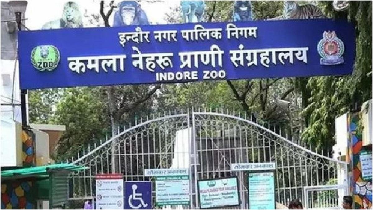 कमला नेहरू जू इंदौर (फाइल फोटो)