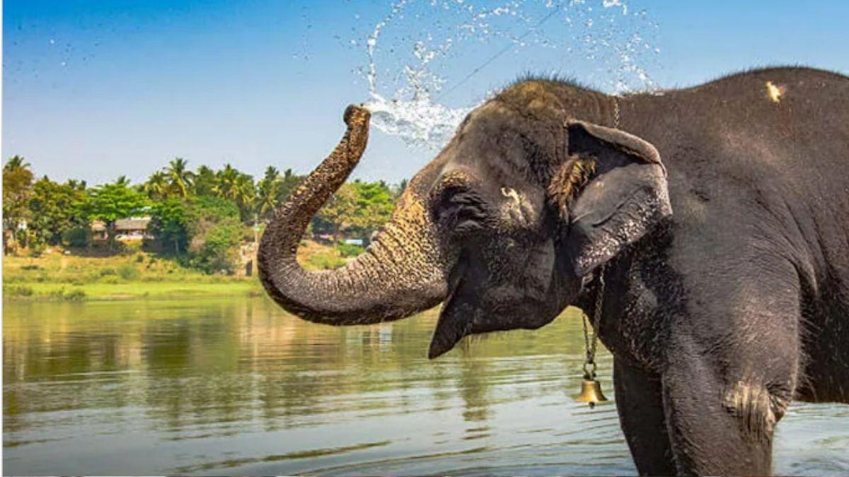 सांकेतिक तस्वीर