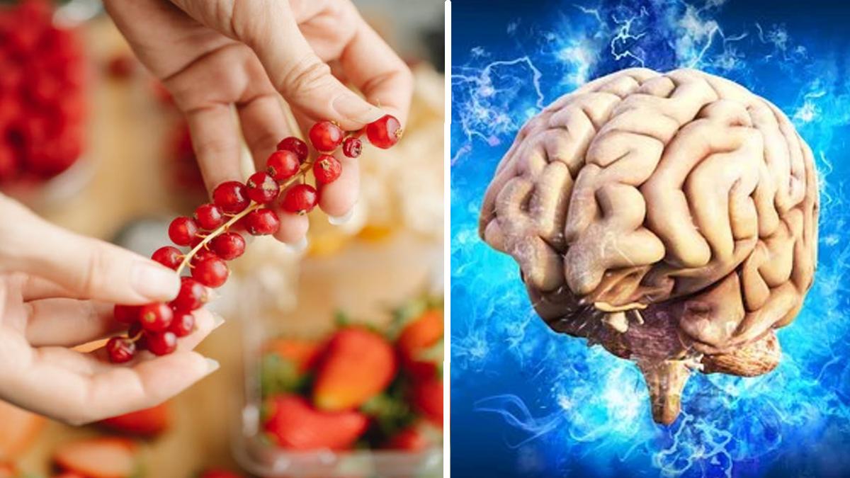 (Image credit: pexels and pixabay)