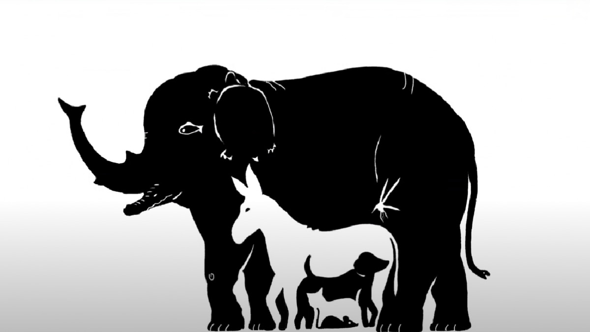 Optical Illusion (Pic Credit-Bright Side Youtube)