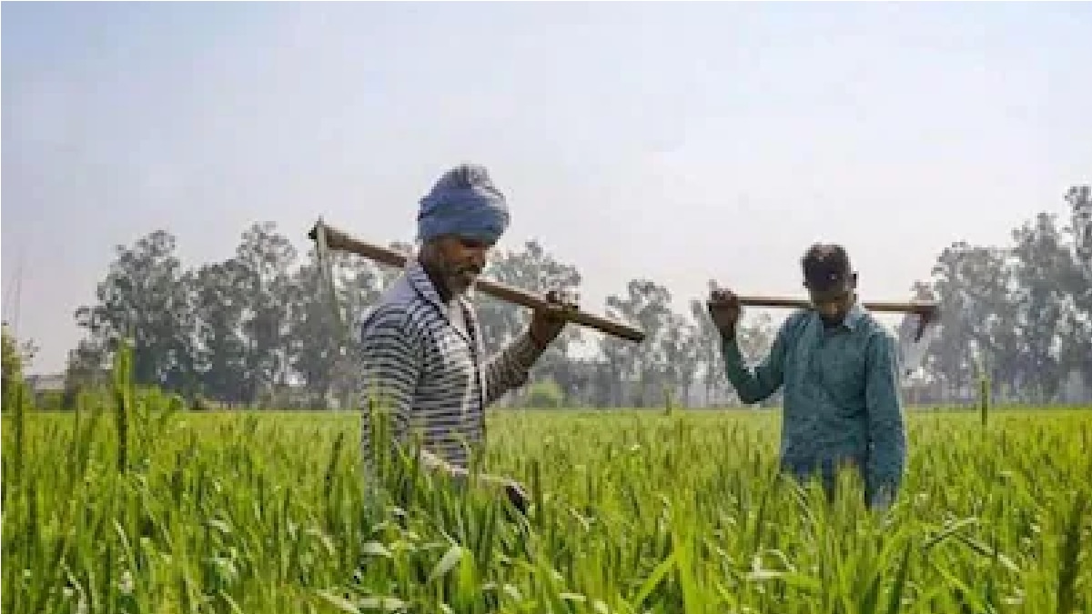 Chhattisgarh Farmers (Representational Image)