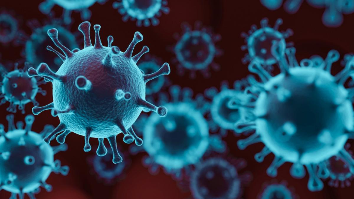 सांकेतिक तस्वीर