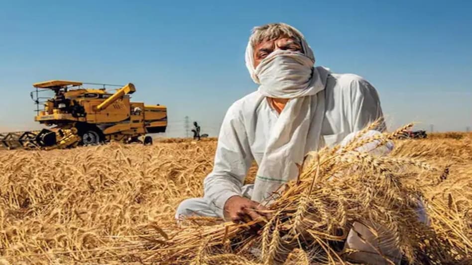 गेहूं के निर्यात पर रोक (File Photo)