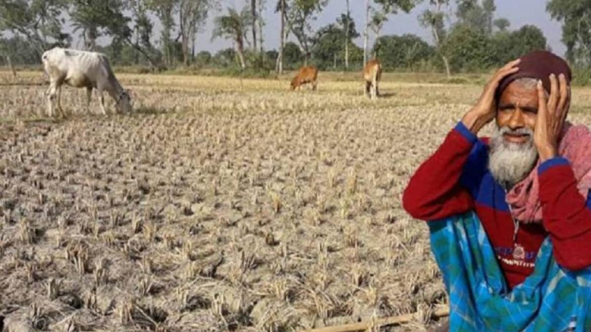 Heatwave Affecting Crops