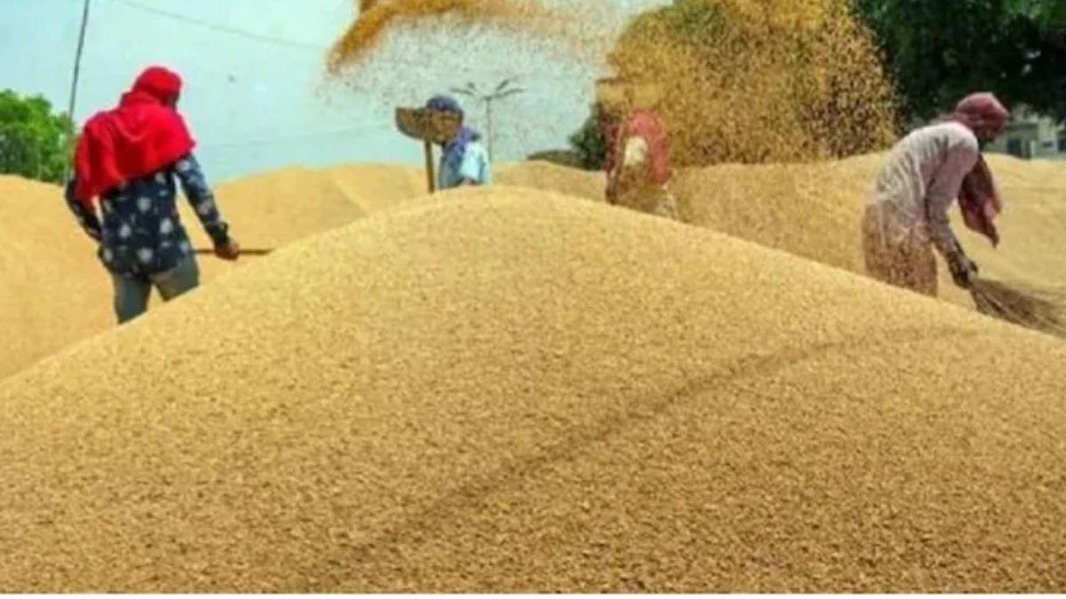 किसान ने लगाया मंडी में कम अनाज तौलने का आरोप. (Representational image)