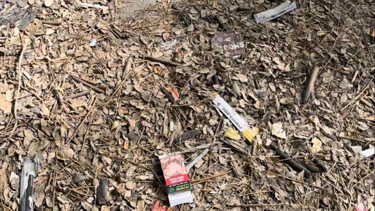 स्कूल में मिली थीं टूटी सिरिंज भी