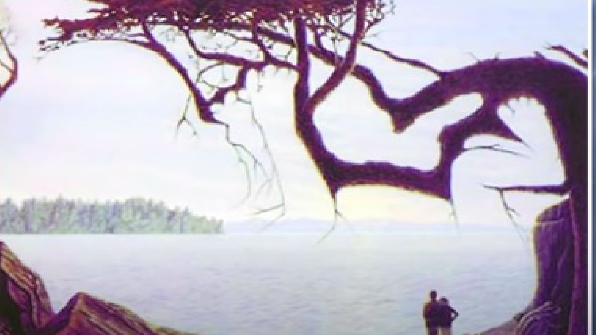 Optical Illusion Viral Picture (Photo- bright side Youtube)