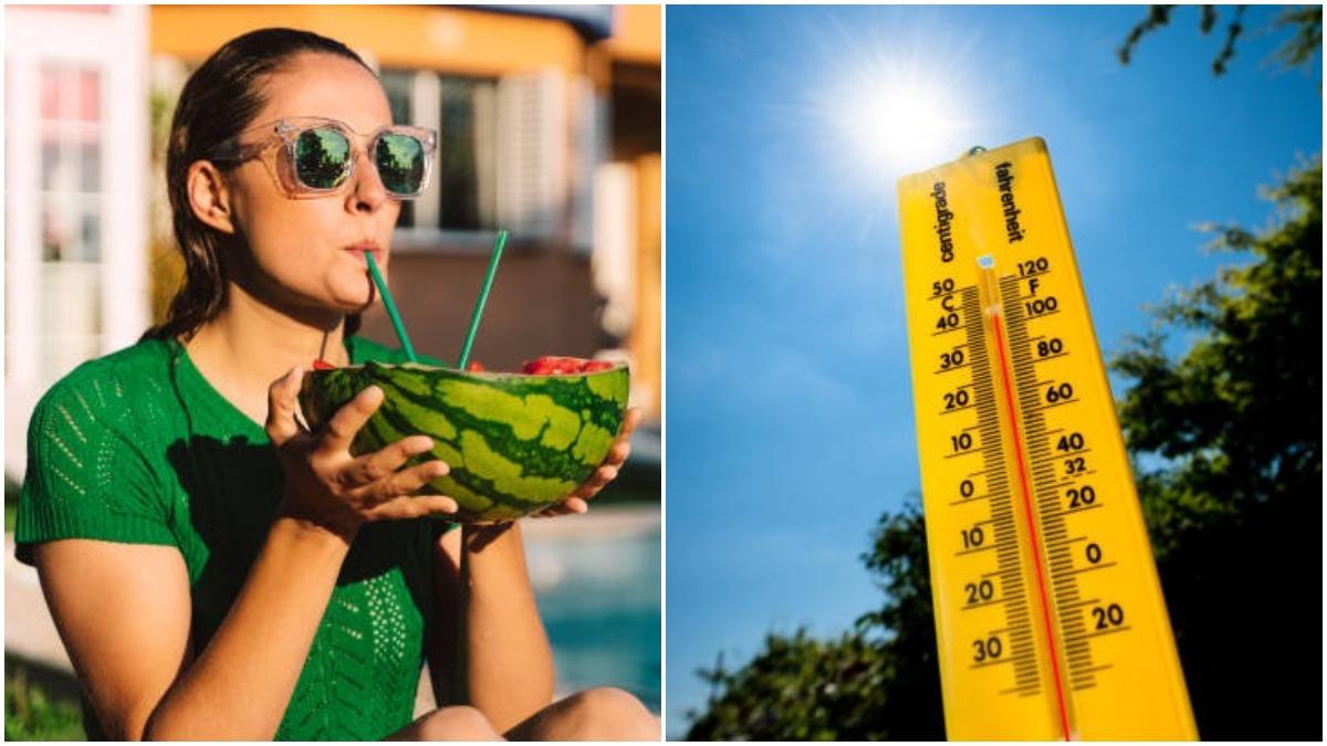 हाय गर्मी! दिल्ली-एनसीआर में पारा 44 डिग्री, भीषण गर्मी और लू से बचाएंगी ये 8 चीजें