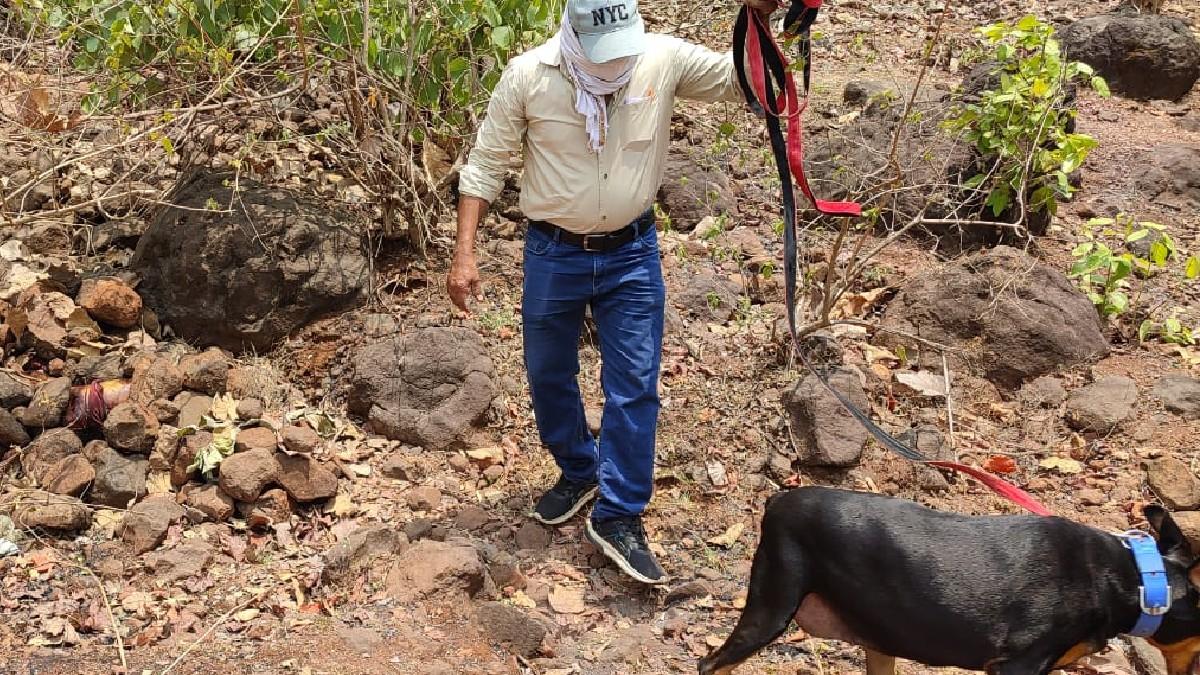 पहाड़ के ऊपर पुलिस ने तलाशी अभियान चलाया. 
