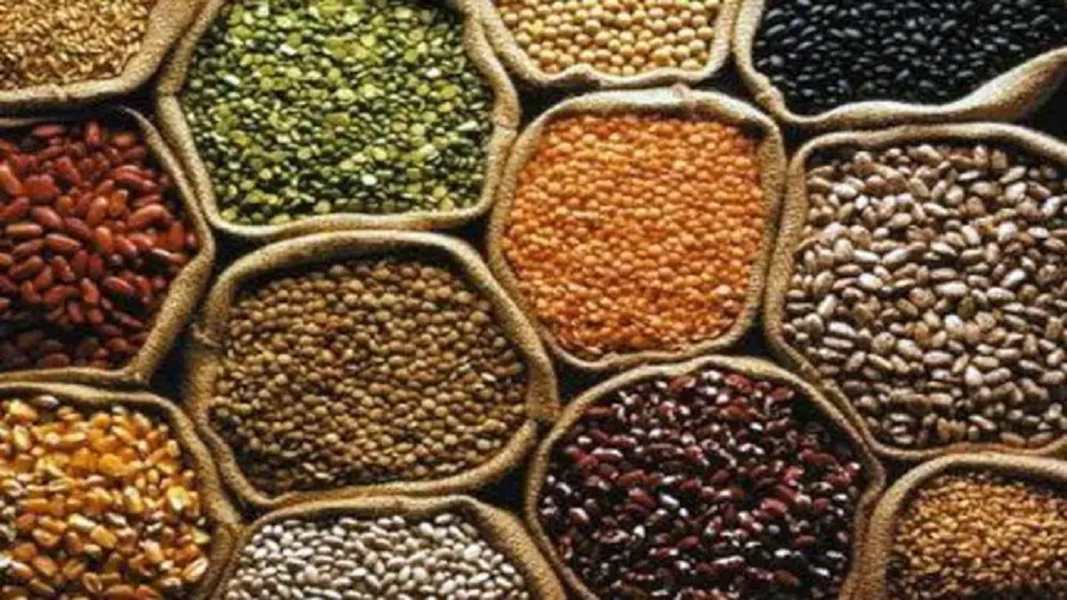 CM Bhagwant Mann announces to purchase Moong pulses on MSP