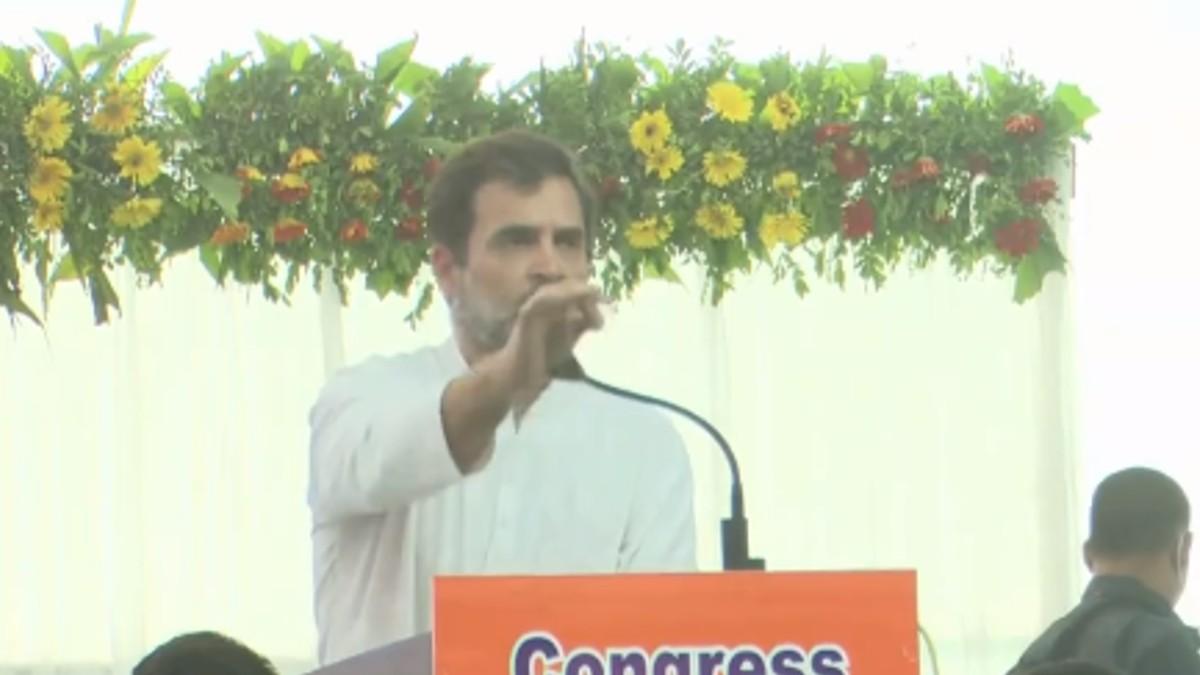 राहुल गांधी ने गुजरात के दाहोद में आदिवासी सत्याग्रह रैली को किया संबोधित. 
