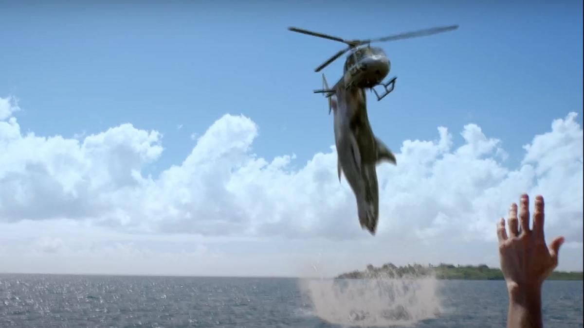 'शार्क ने हेलिकॉप्टर पर किया अटैक', VIDEO शेयर करने पर किरण बेदी हुईं ट्रोल