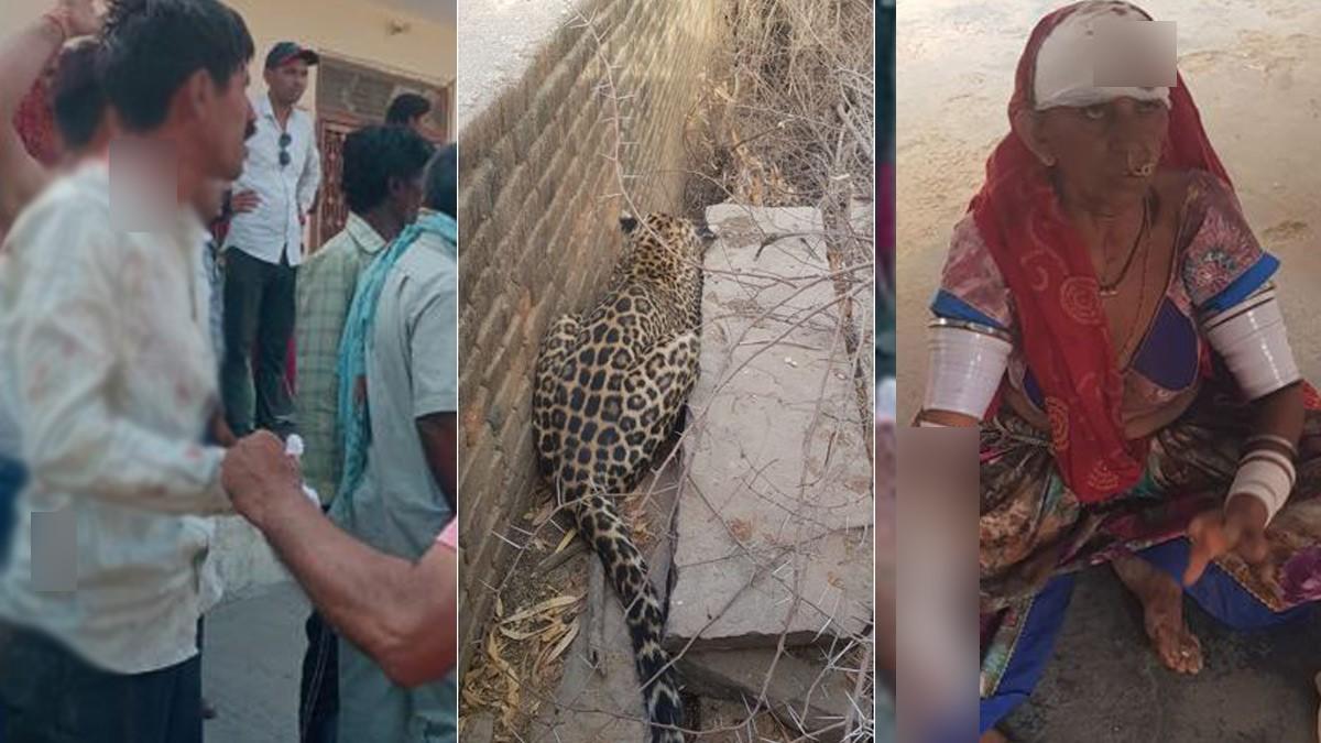 पैंथर के हमले से 6 लोग घायल.