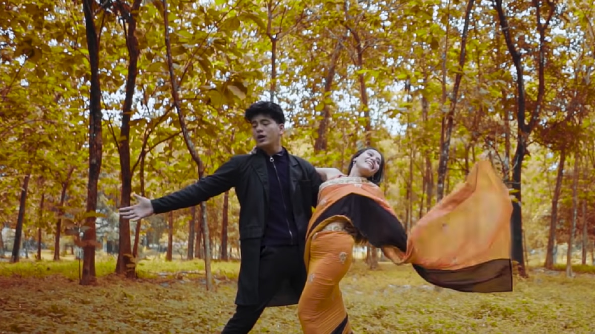 इस कपल ने कभी अलविदा न कहना के गाने पर गजब का डांस किया है (Youtube Grab/ Vina Fan)