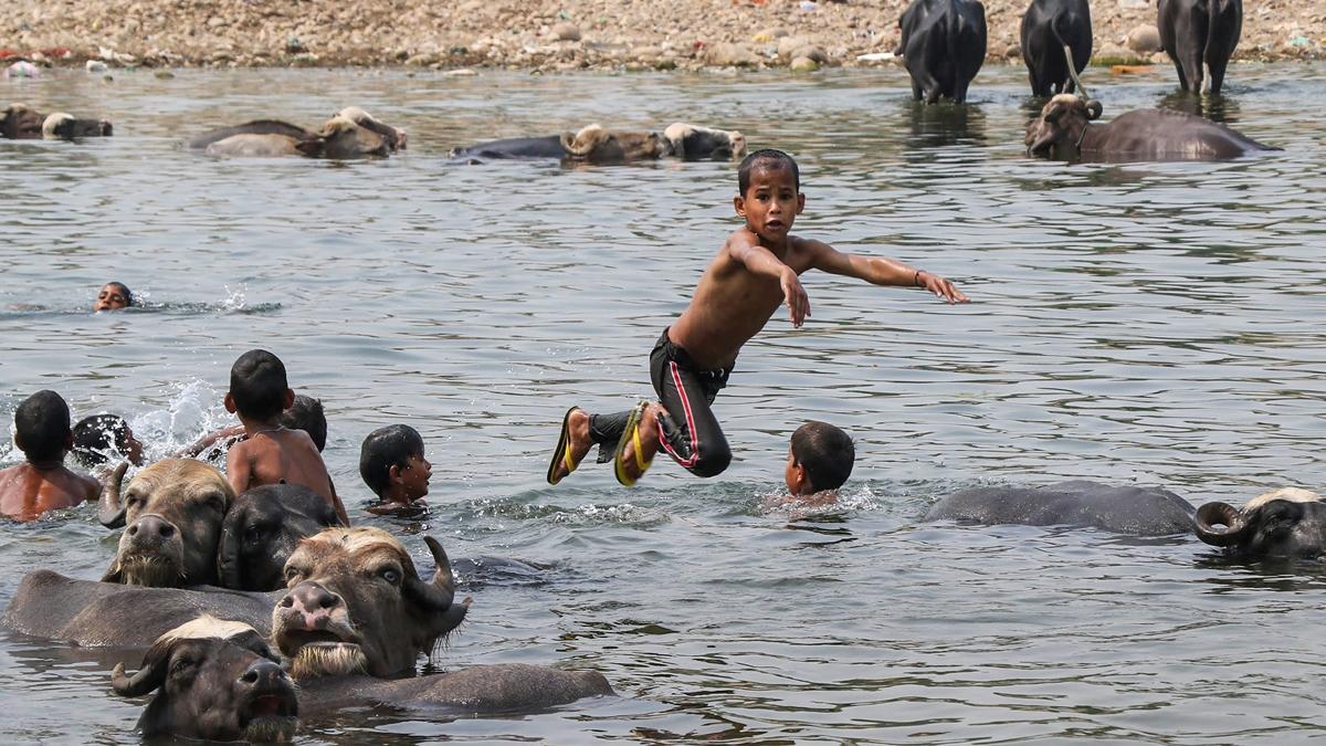 Weather Forecast: जम्मू की तवी नदी में गर्मी के बीच मौज-मस्ती करते बच्चे (फोटो- PTI)