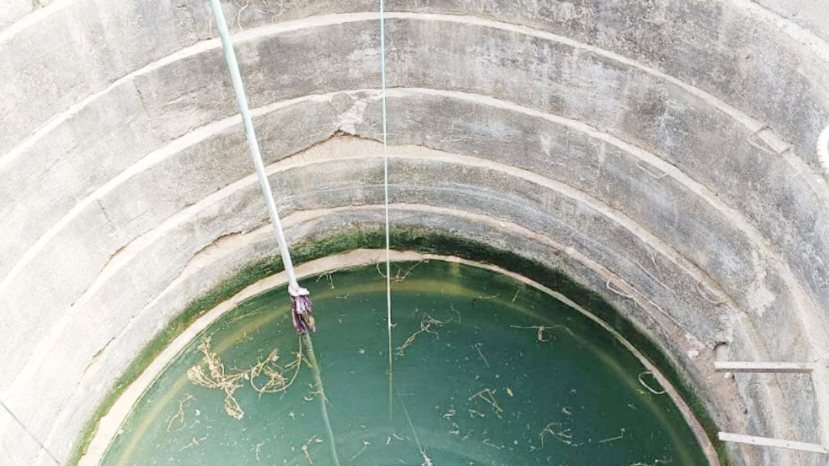 शादी के 12 साल बाद तक नहीं हुए बच्चे, पत्नी करने वाली थी दूसरी शादी, पति ने कुएं में कूदकर दी जान