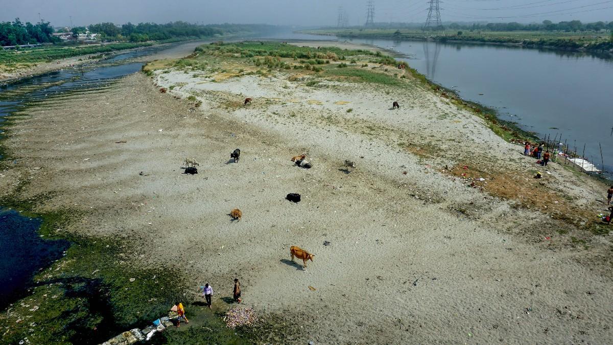 दिल्ली में यमुना का जलस्तर लगातार घट रहा है. (फोटो- पीटीआई)