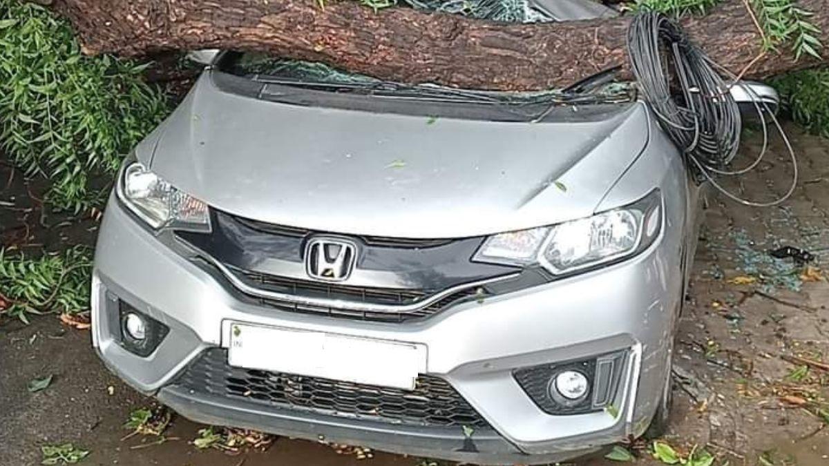 कार-बाइक पर पेड़ गिरने पर मिलता है इंश्योरेंस कवर (सांकेतिक फोटो)