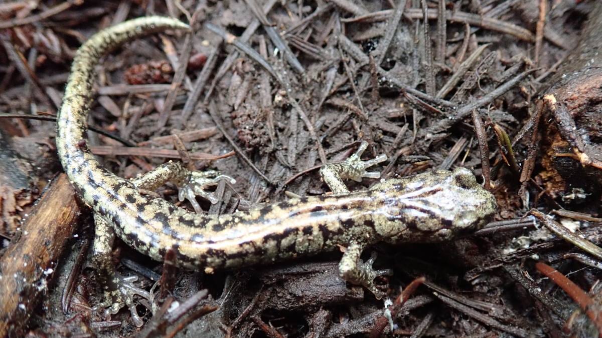 Interview Tricky Questions