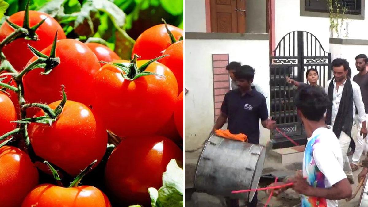 किसान ने बैंड-बाजे के साथ निकाली टमाटर के बेल की शोभायात्रा (फोटो-आजतक)