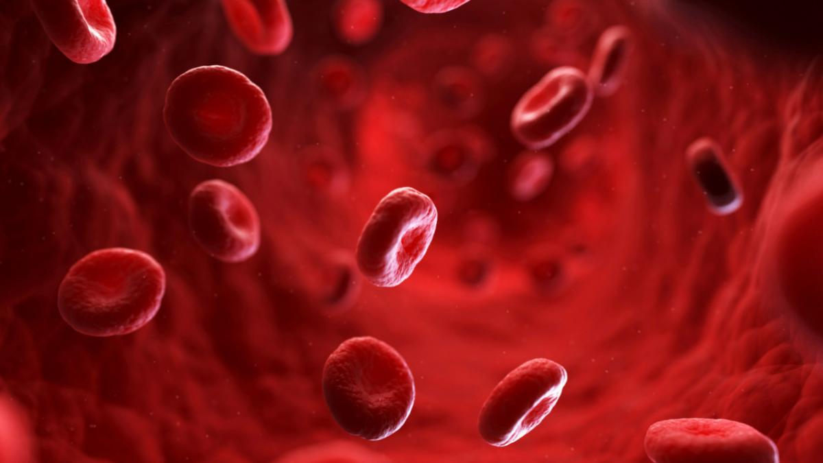 how to increase platelet count