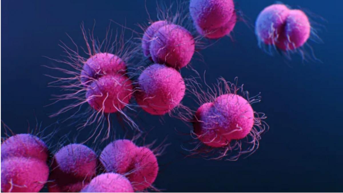 Gonorrhea symptoms and causes (Credit: CDC/ Antibiotic Resistance Coordination and Strategy Unit) 