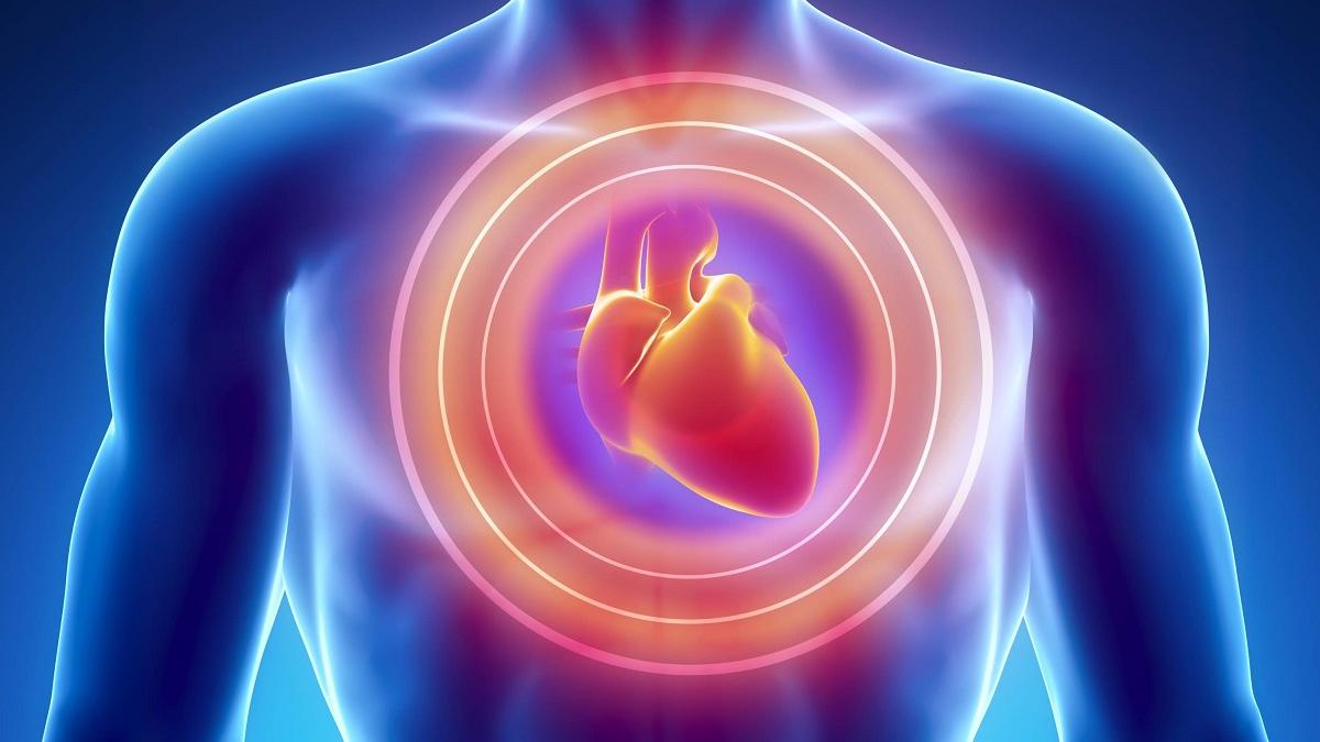 सांकेतिक तस्वीर