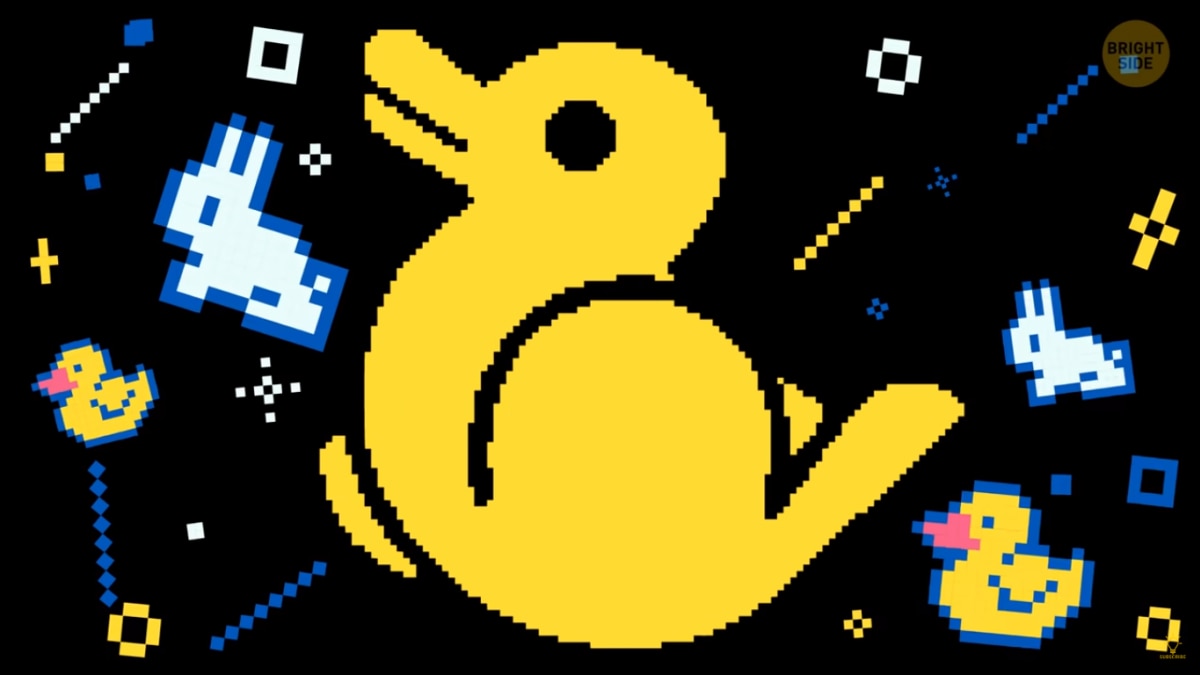 What Did You See First (Pic Credit- bright side youtube)