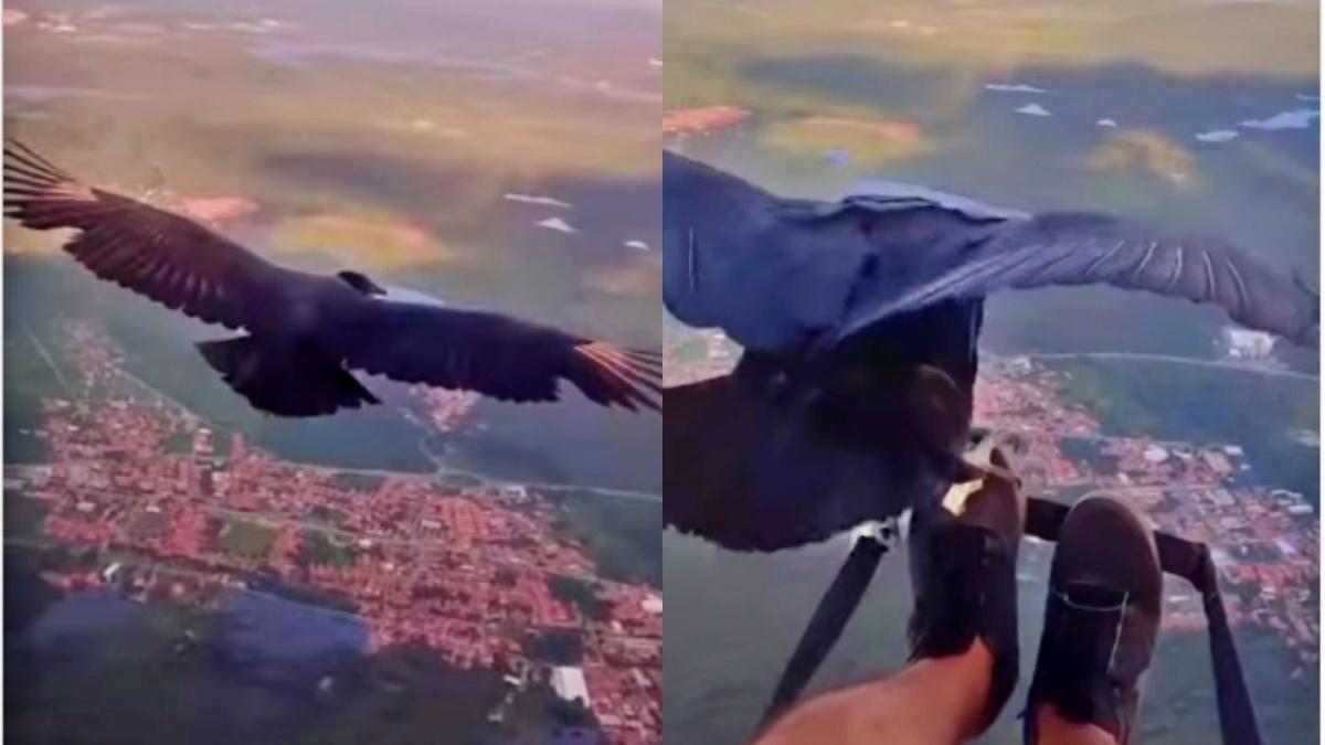 हवा में पक्षी के साथ उड़ता शख्स (फ़ोटो/इंस्टाग्राम) 
