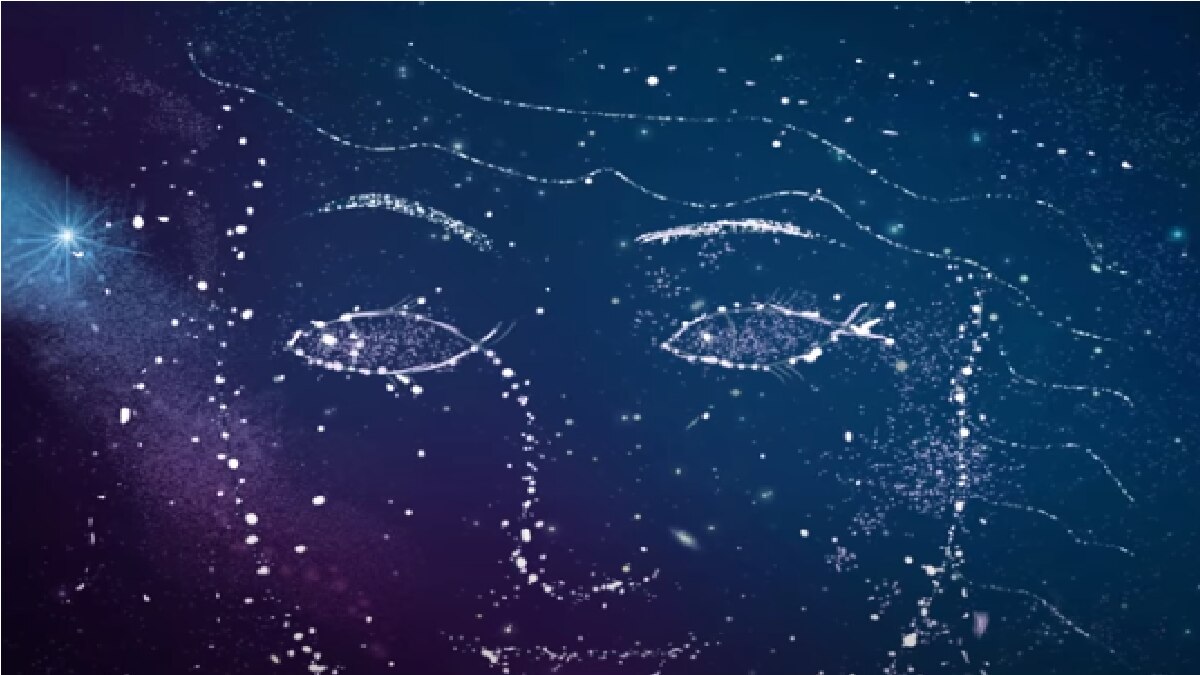 Optical Illusion Personality Test (Pic Credit- bright side youtube)