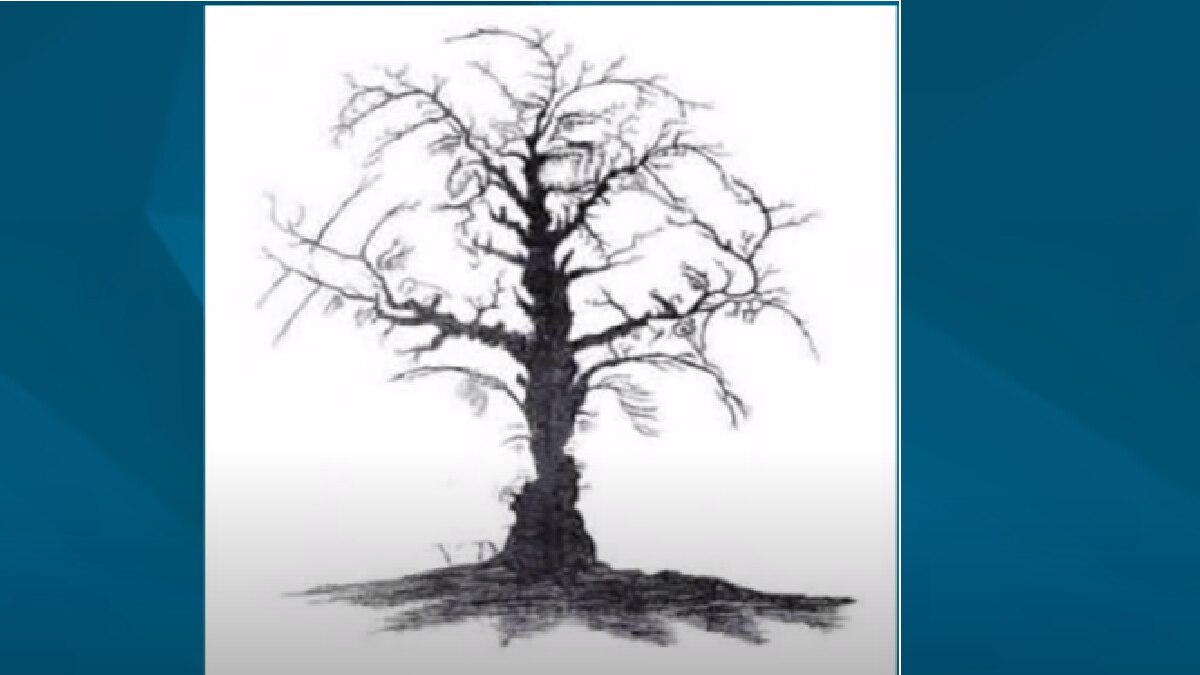 Find the Faces (Picture Credit- Bright Side Youtube)