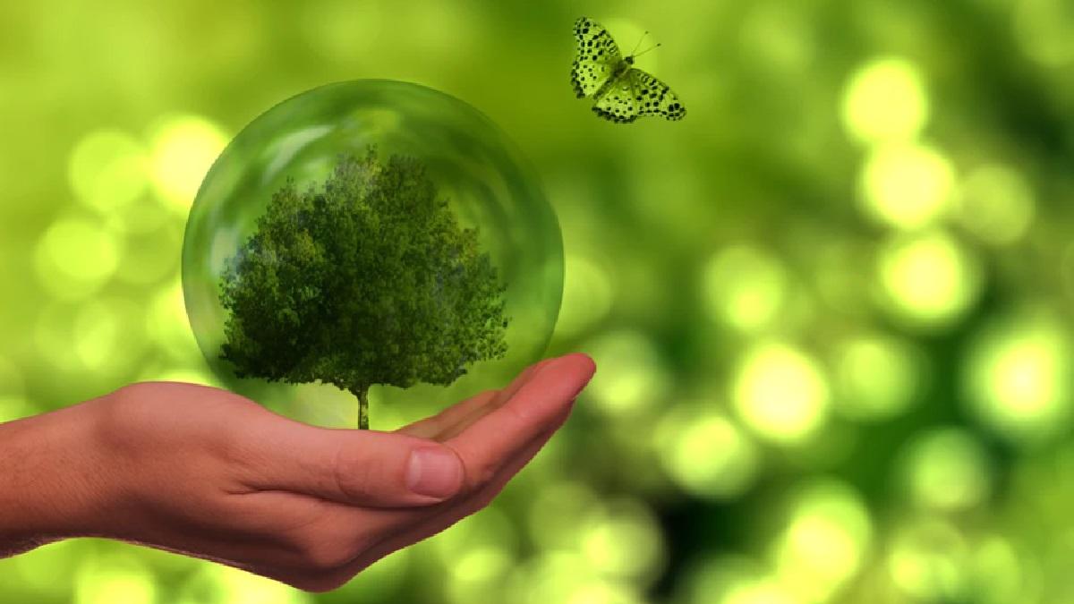 World Environment Day