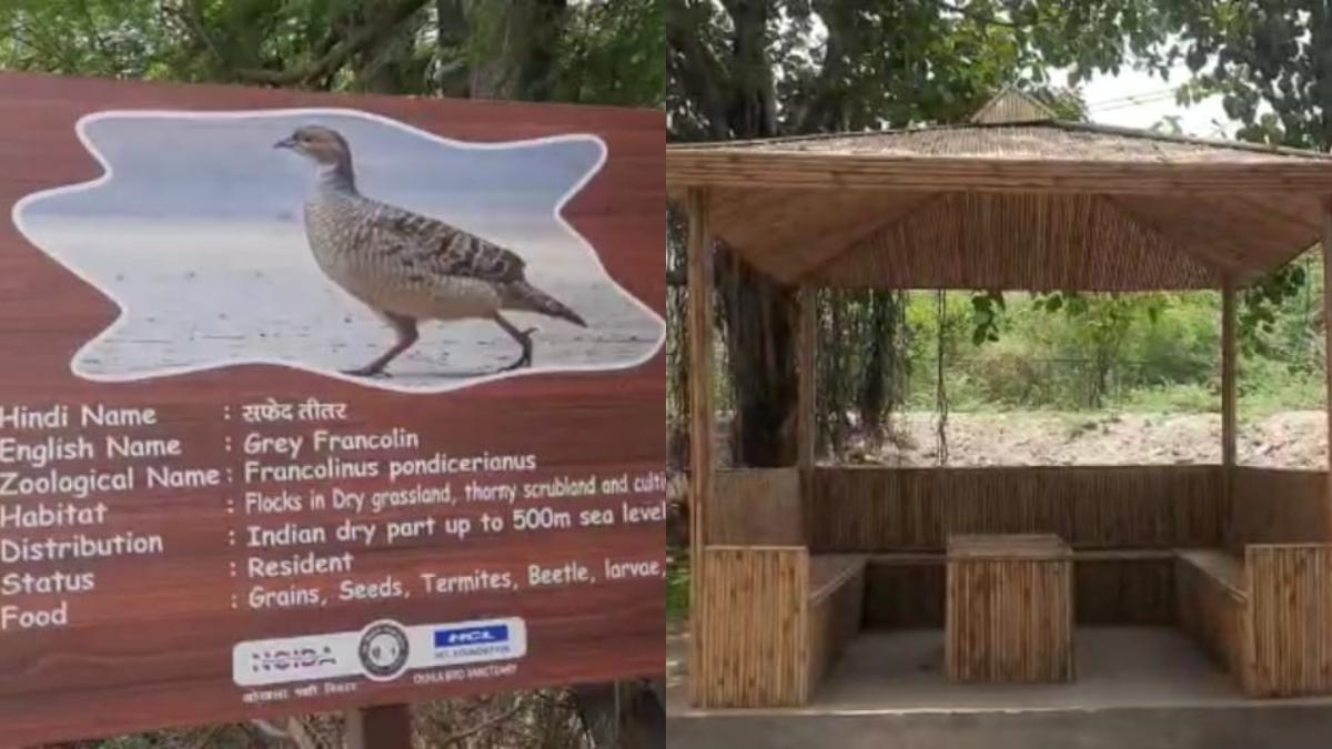ओखला पक्षी विहार में नेचर हट बनकर तैयार