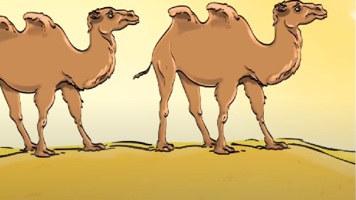 Can You Spot A Mistake ( Pic Credit: 7-Second Riddles)